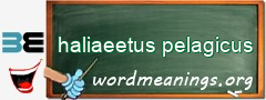 WordMeaning blackboard for haliaeetus pelagicus